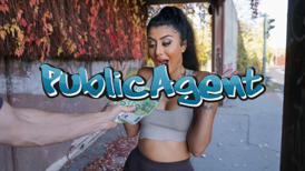 Public Agent
